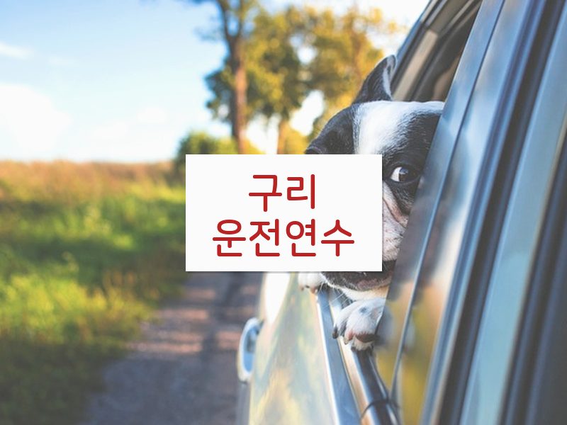 구리운전연수 후기