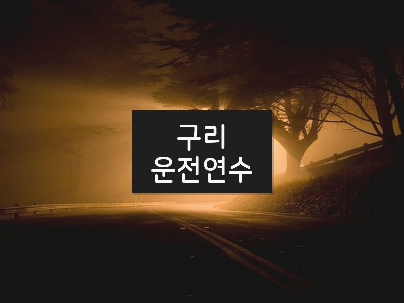 구리운전연수 후기
