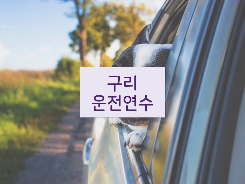 구리운전연수 후기