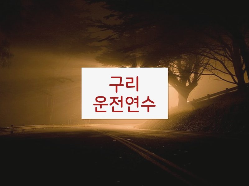 구리운전연수 후기