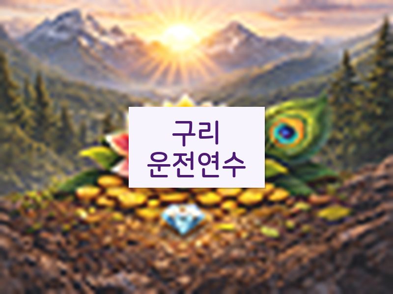 구리운전연수 후기