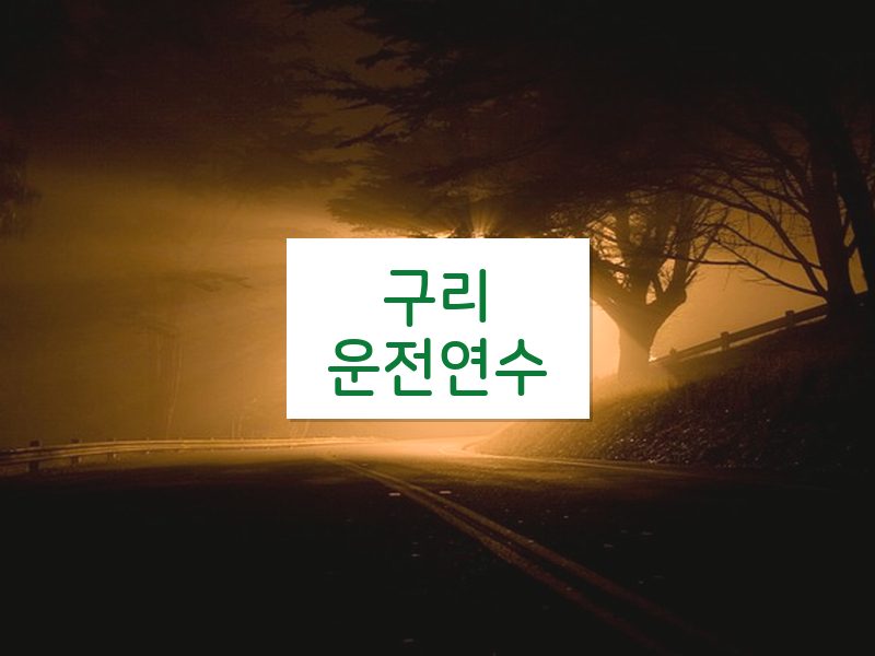 구리운전연수 후기