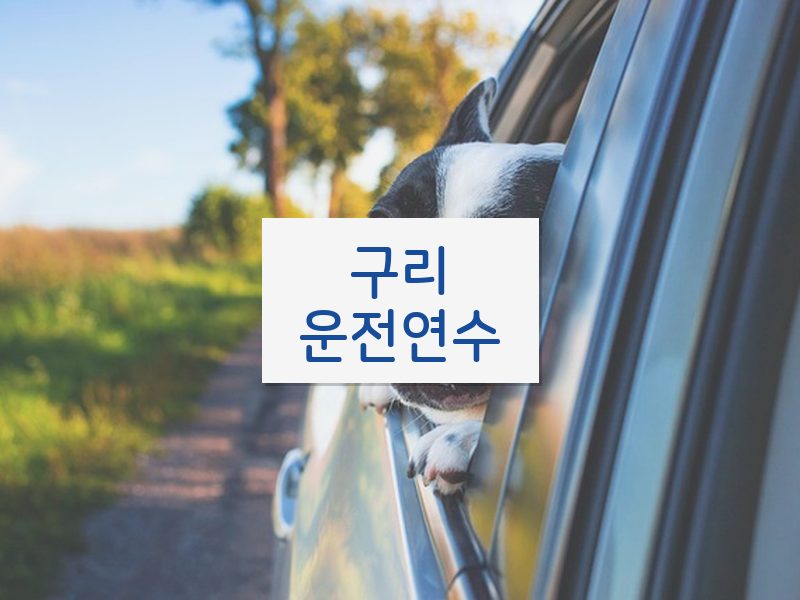 구리운전연수 후기