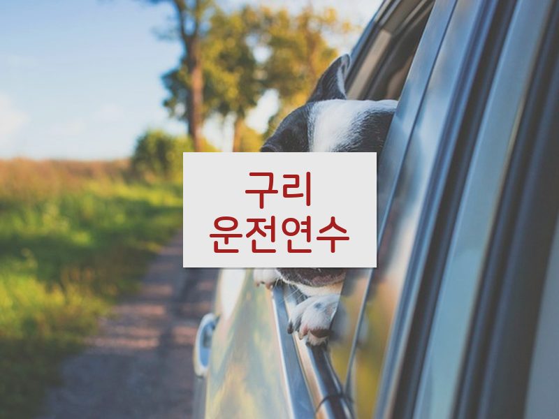 구리운전연수 후기