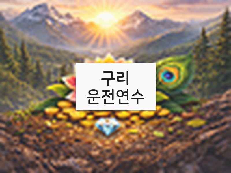 구리운전연수 후기
