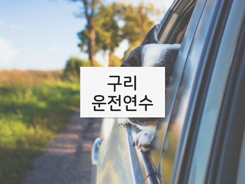 구리운전연수 후기