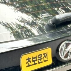 구리 운전연수 10시간 주말 코스 내돈내산 솔직 후기 후기 이미지