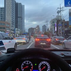 장롱면허 4년만에 도로 복귀!