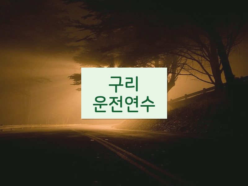 구리운전연수 후기